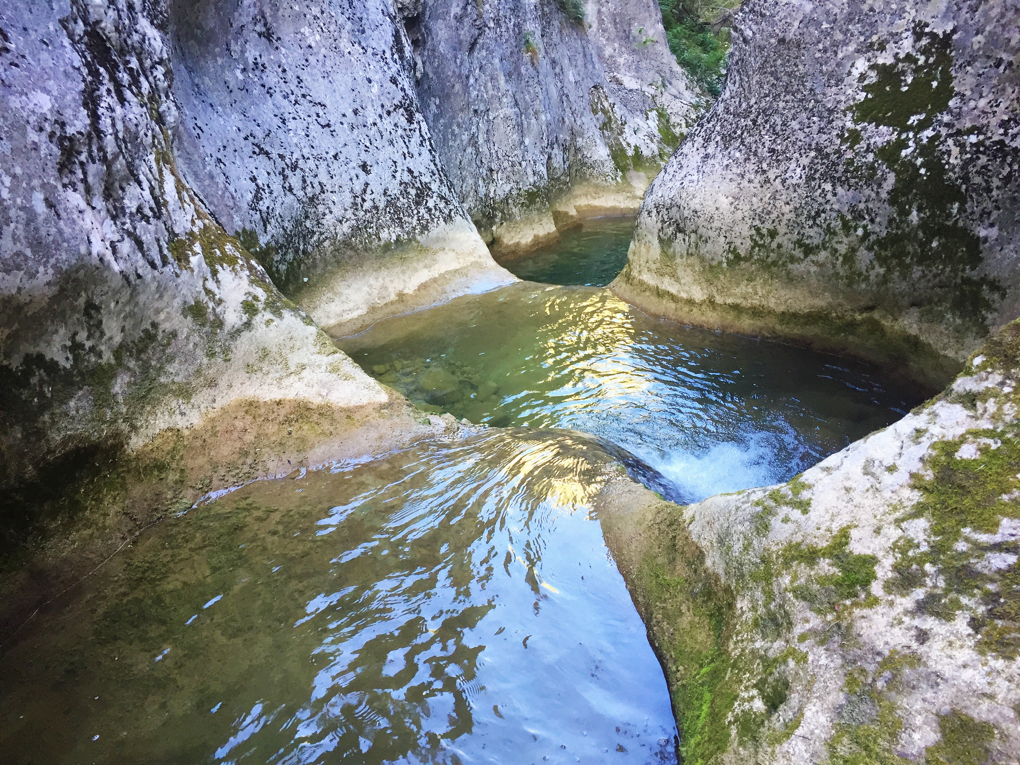 Belica's Pots Image
