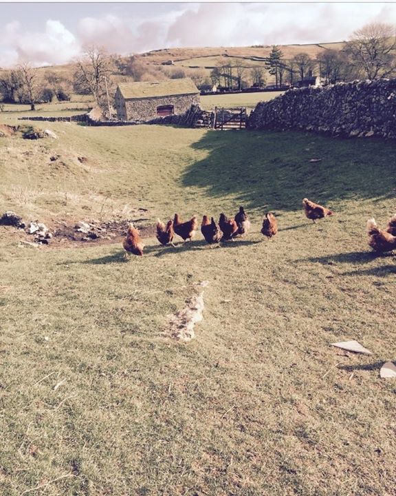 Court Croft Hebden Bed and Breakfast Image