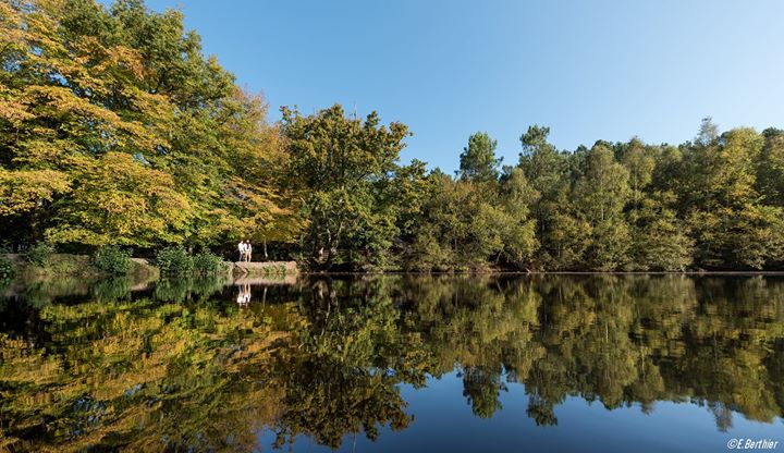 Office de Tourisme de Brocéliande Image
