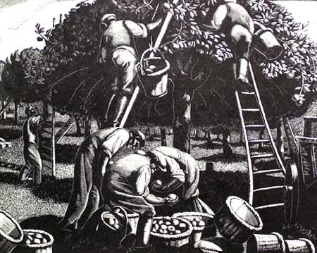 Cambridge Book & Print Gallery Image