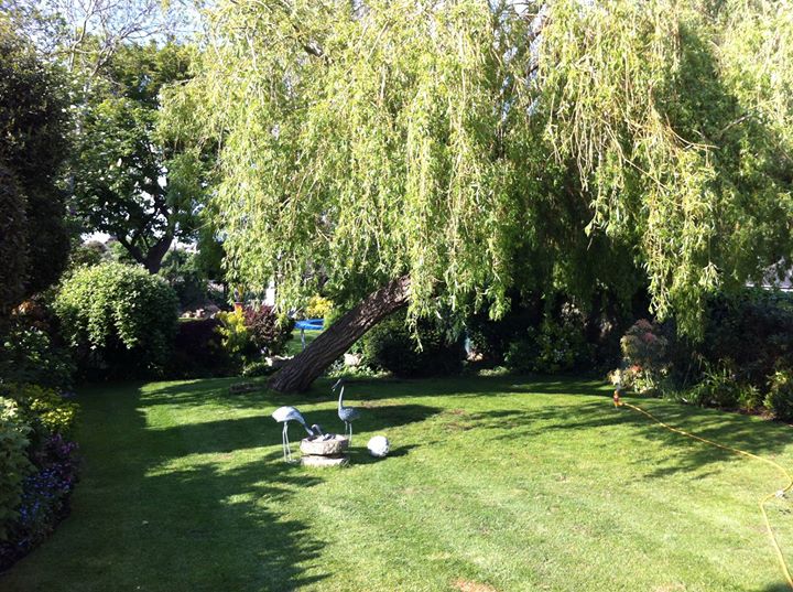 Number Five Bed and Breakfast Image