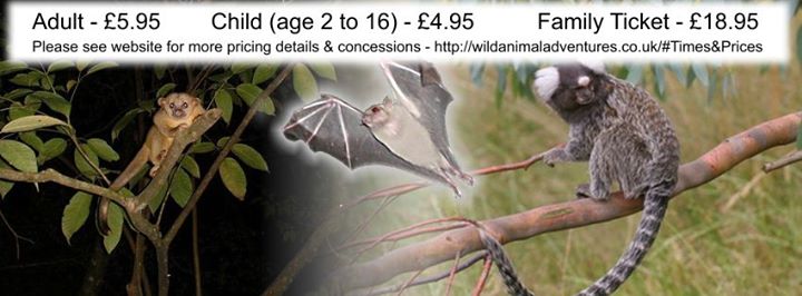 Wild Animal Adventures Image