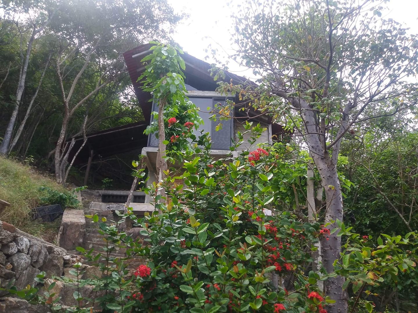 Terrazas el Rinconcito, Mazunte Oaxaca Image