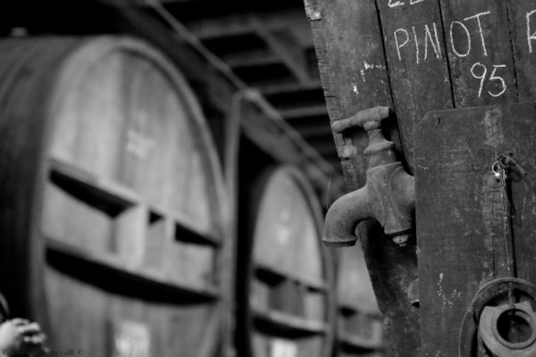 Château de Clapier: "l'ambassadeur du Pinot Noir en Luberon" Image