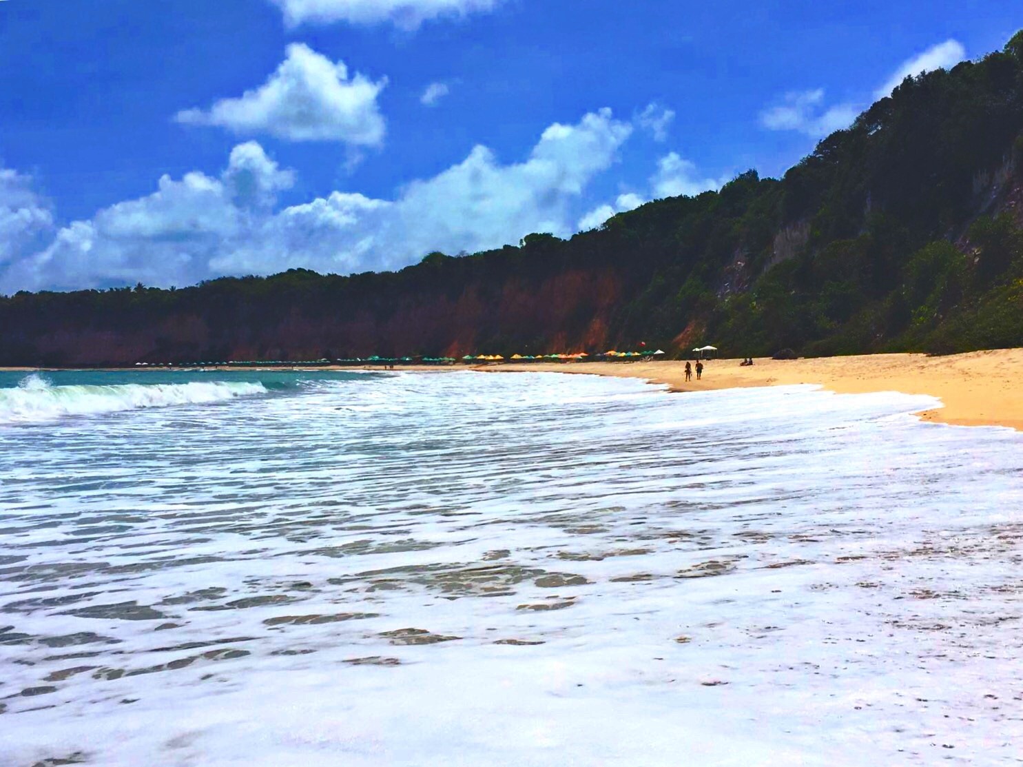Baía dos Golfinhos (Pipa) Image