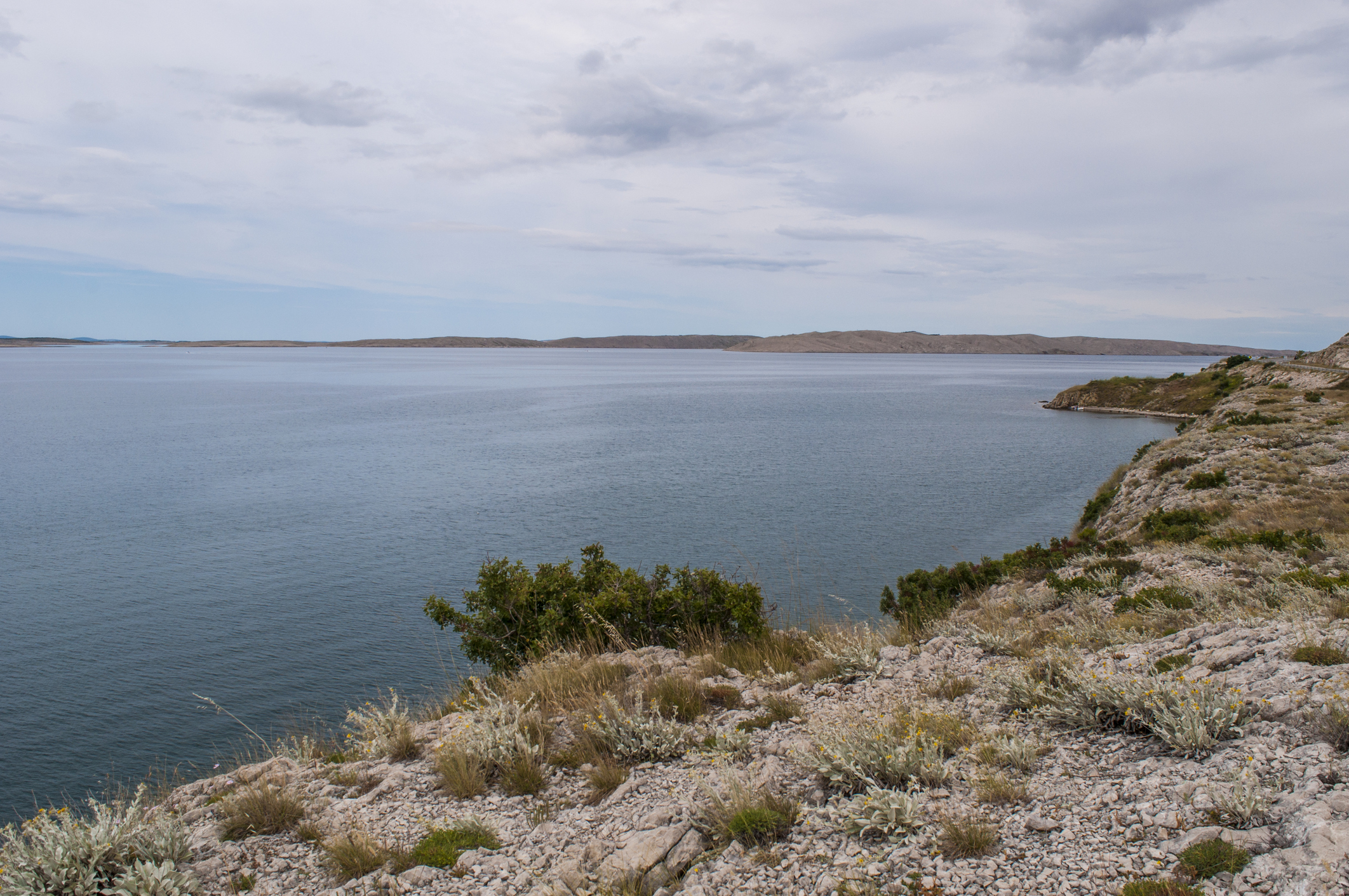 Maun island Image