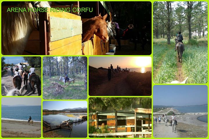 Arena Horse Riding Corfu Image