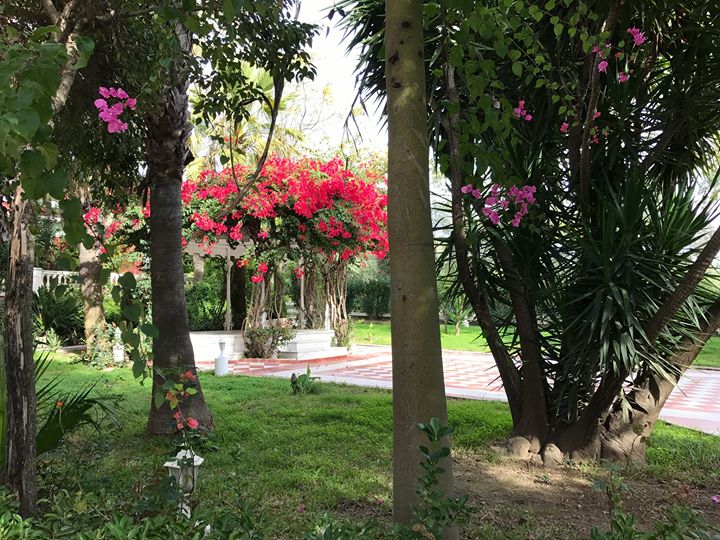 Hacienda Azahares Image