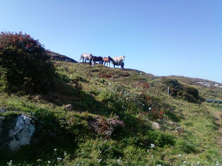 Errislannan Manor, Clifden Image