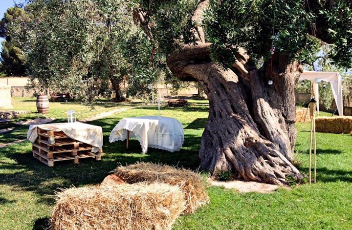 Agriturismo Baccu Cardu Image