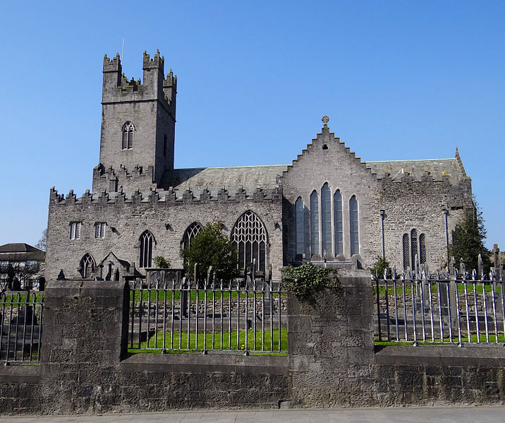 Saint Mary's Cathedral in Limerick Image