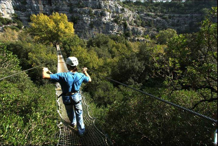 Canyon Forest - Page officielle Image