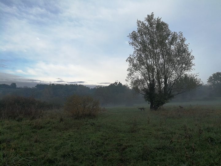 Locanda San Ginese - Bed, Room & Breakfast Image