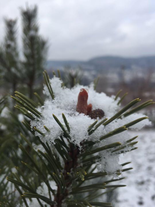 Agriturismo La Stropaia Image