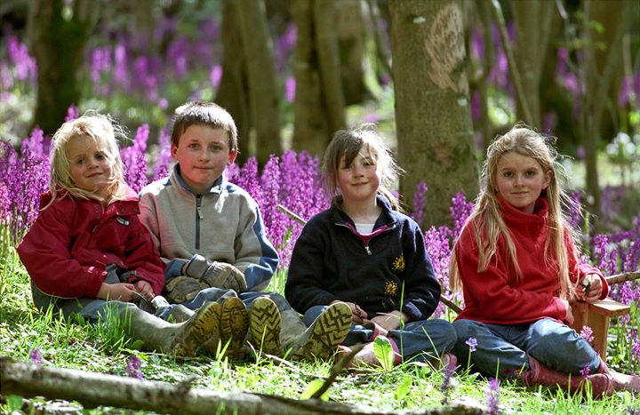 Lovaton Farm House Bed and Breakfast Devon Image