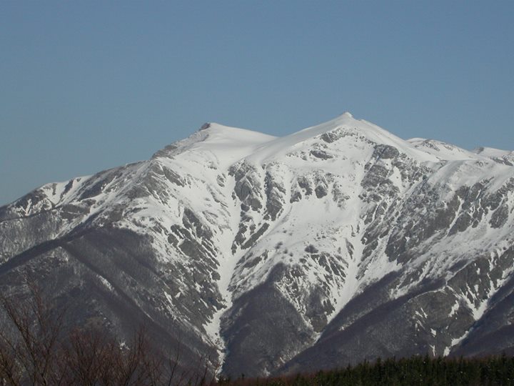 Albergo Ristorante Il Cacciatore Image