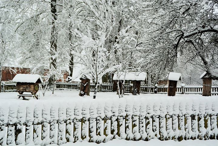 Muzeum Budownictwa Ludowego - Park Etnograficzny w Olsztynku Image
