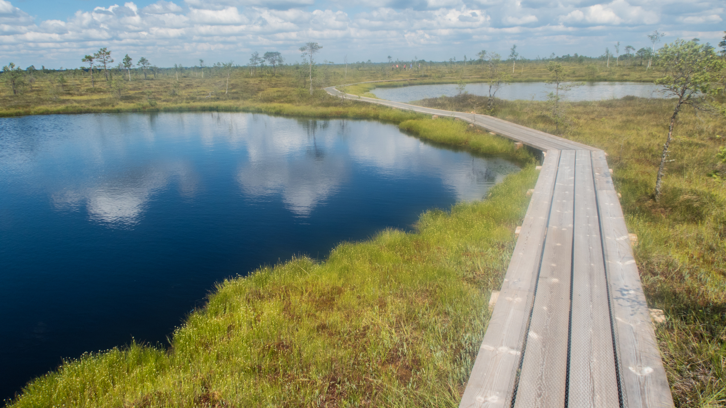 Soomaa National Park Image