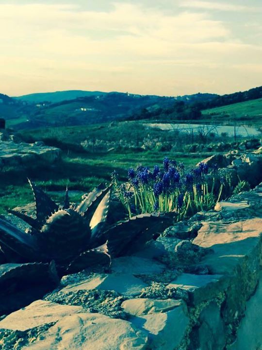 Agriturismo Pian Dei Lupi Image