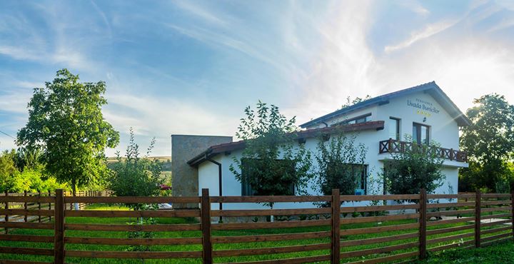 Pensiunea Livada Bunicilor Image