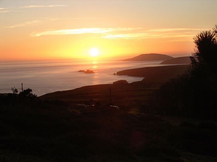 Moel Yr Wyn Bed & Breakfast Image