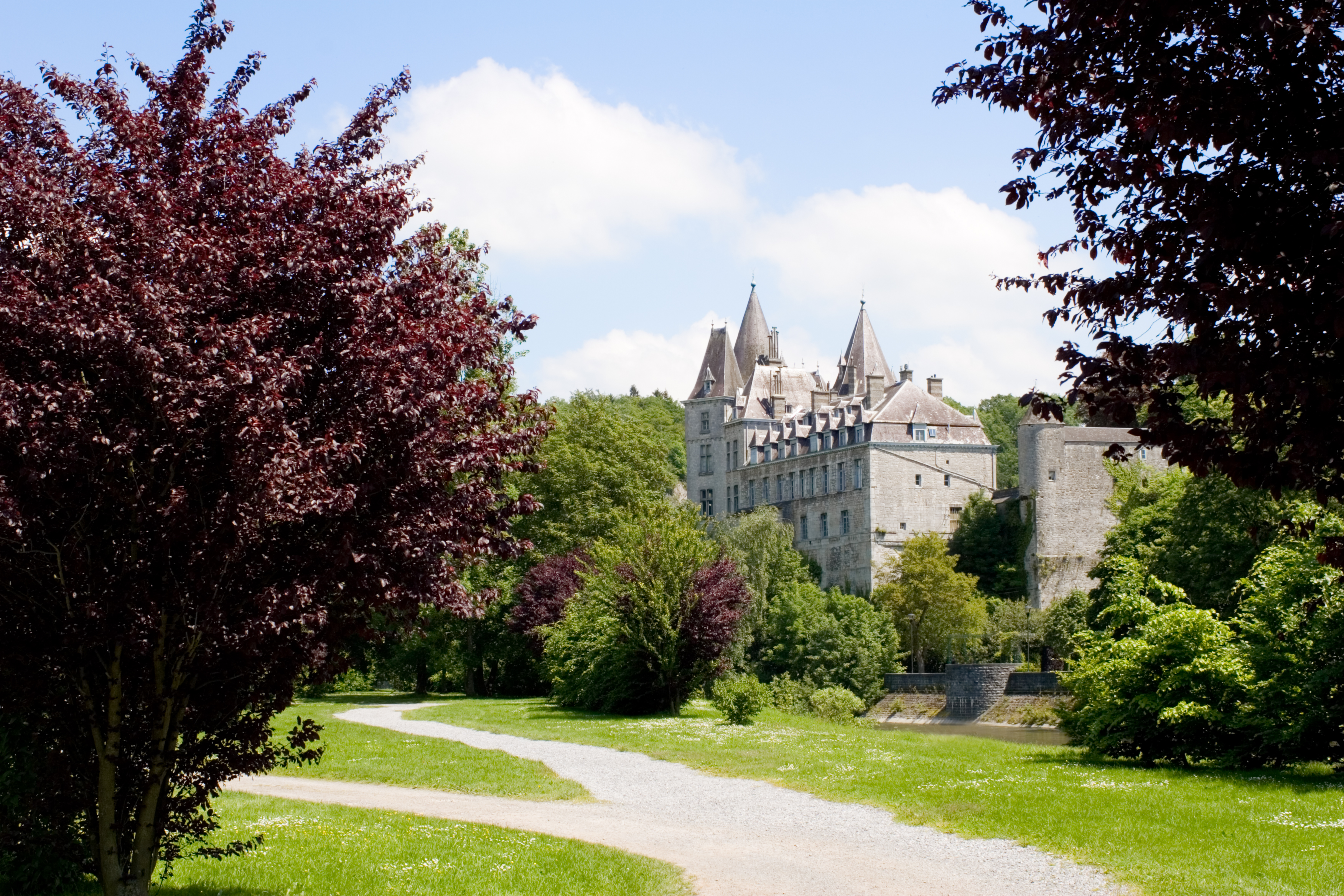Château de Durbuy Image