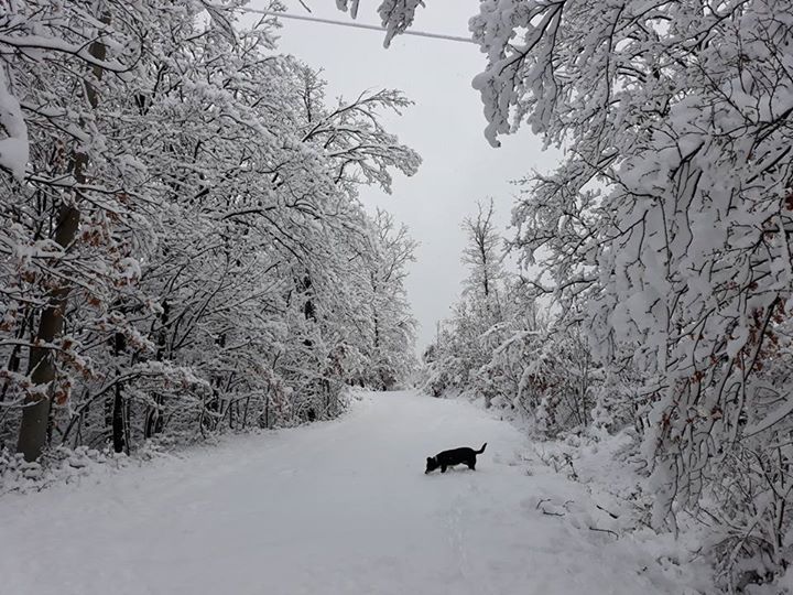 Podere Le Chiastre Bed and breakfast Berceto Parma Image