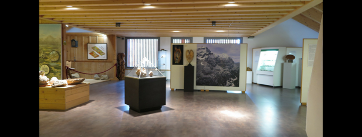 Museo Paleontologico "Rinaldo Zardini" Image