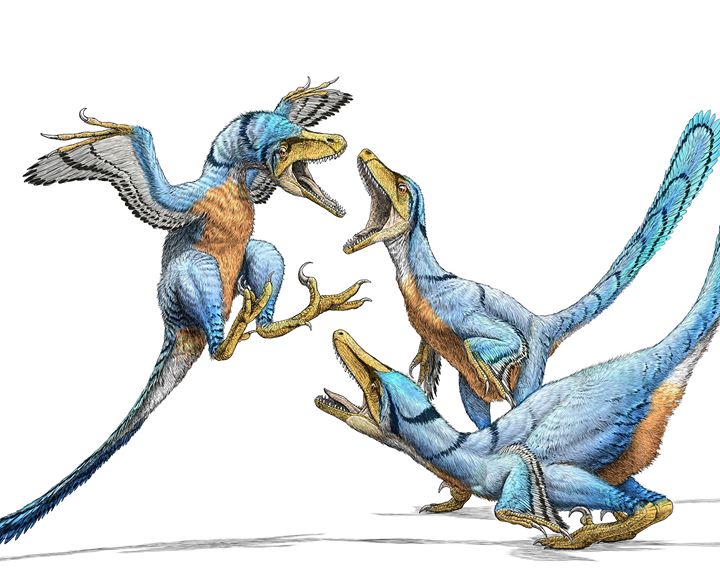 Royal Tyrrell Museum Image