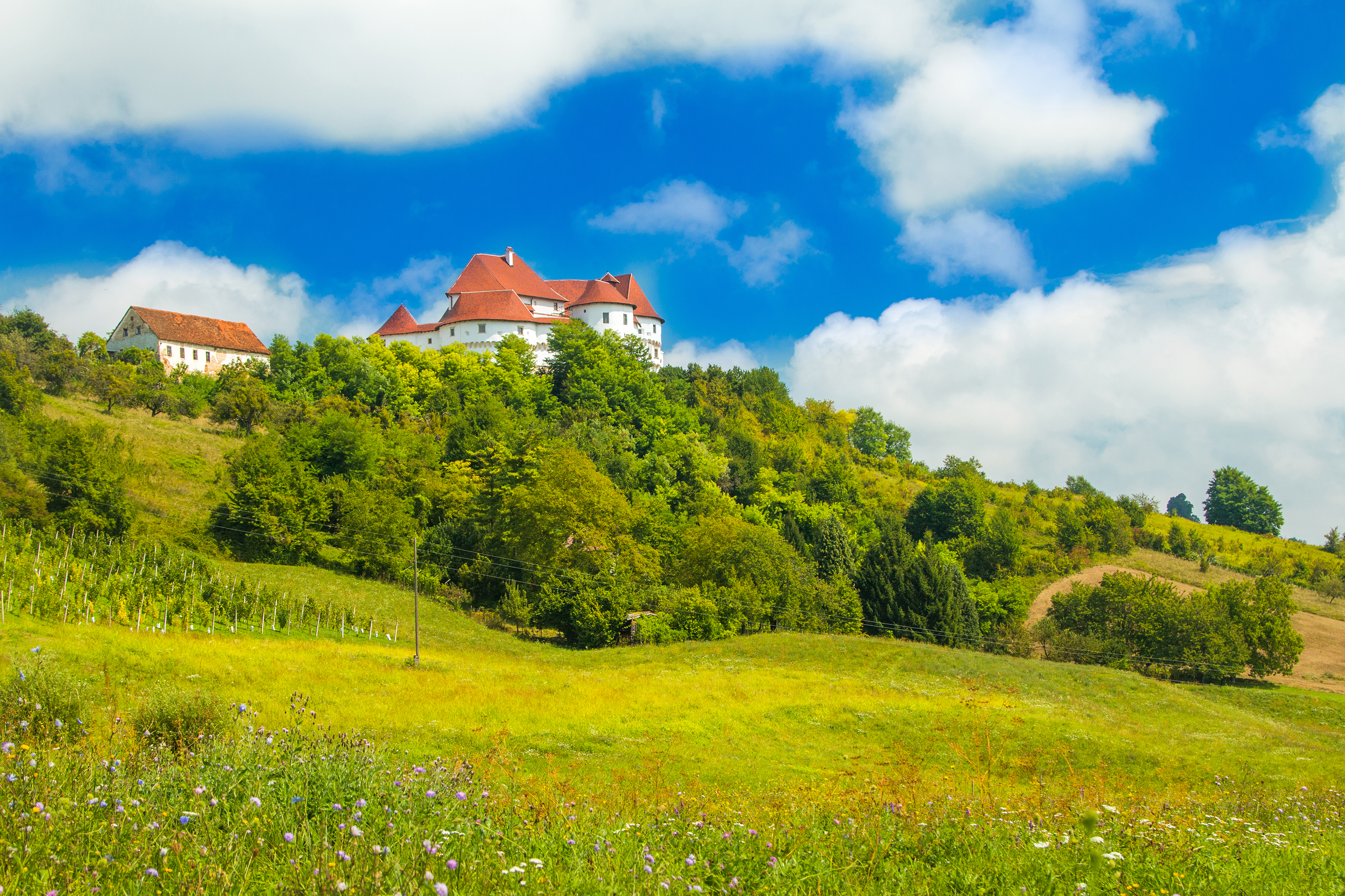 Veliki Tabor Castle, near Desinić Image