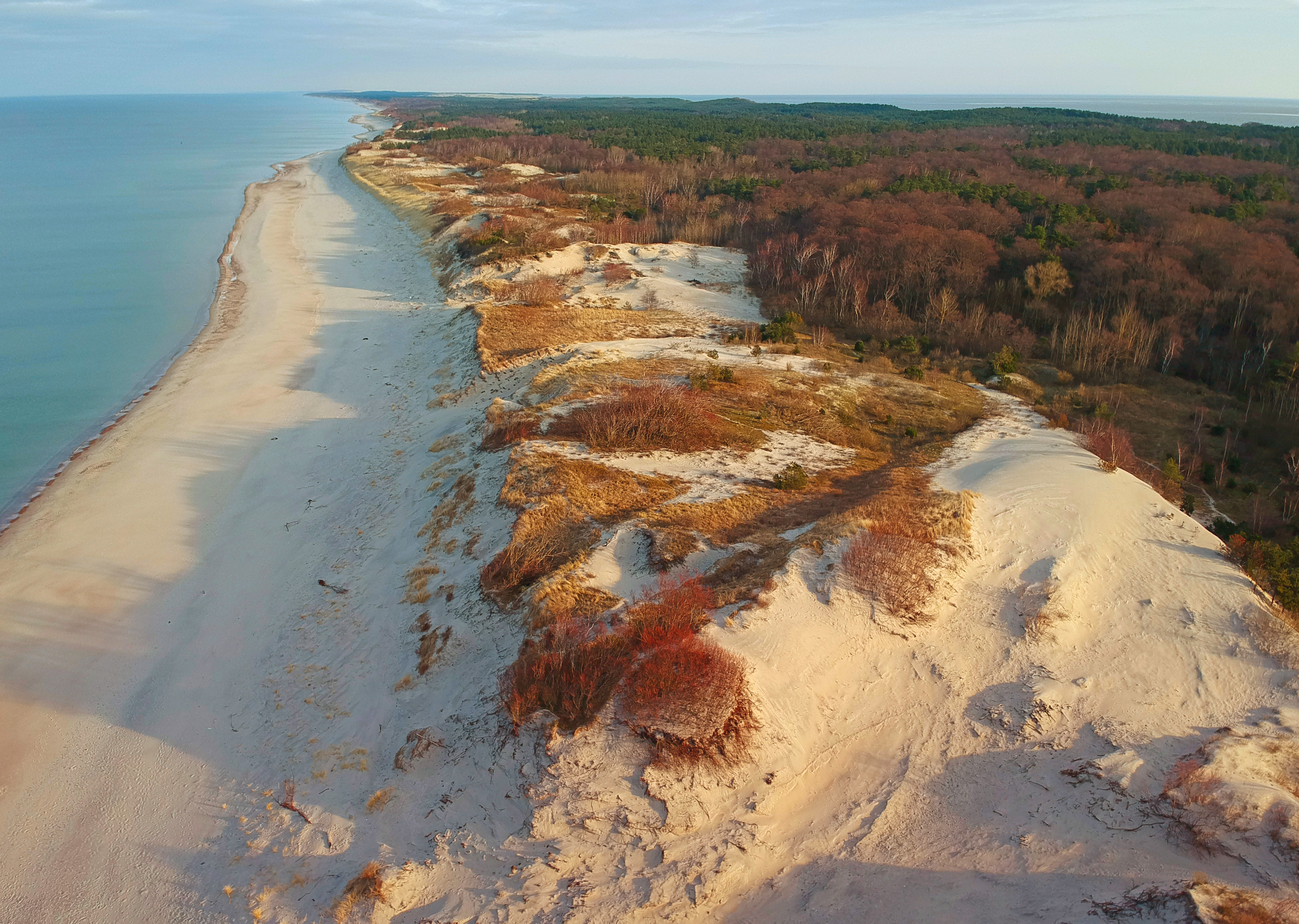 Curonian Spit Image