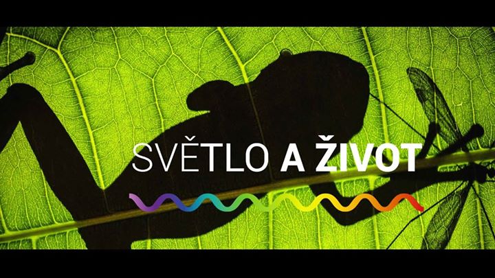 Národní muzeum Image