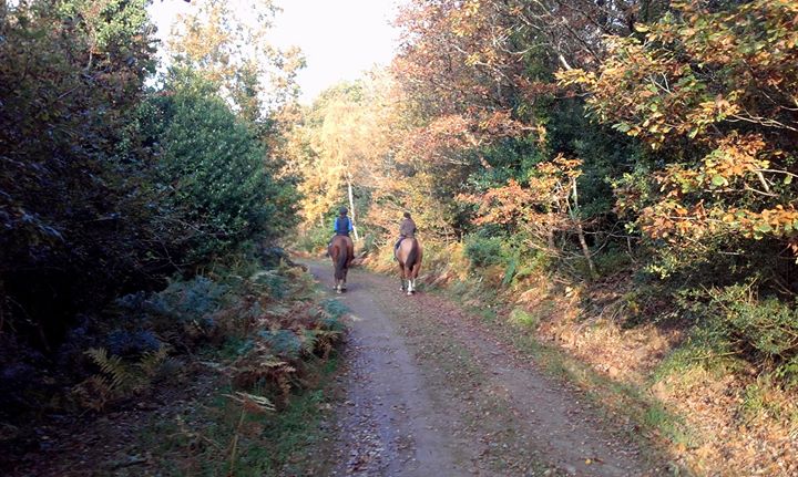 Boolagh Stud Farm Image