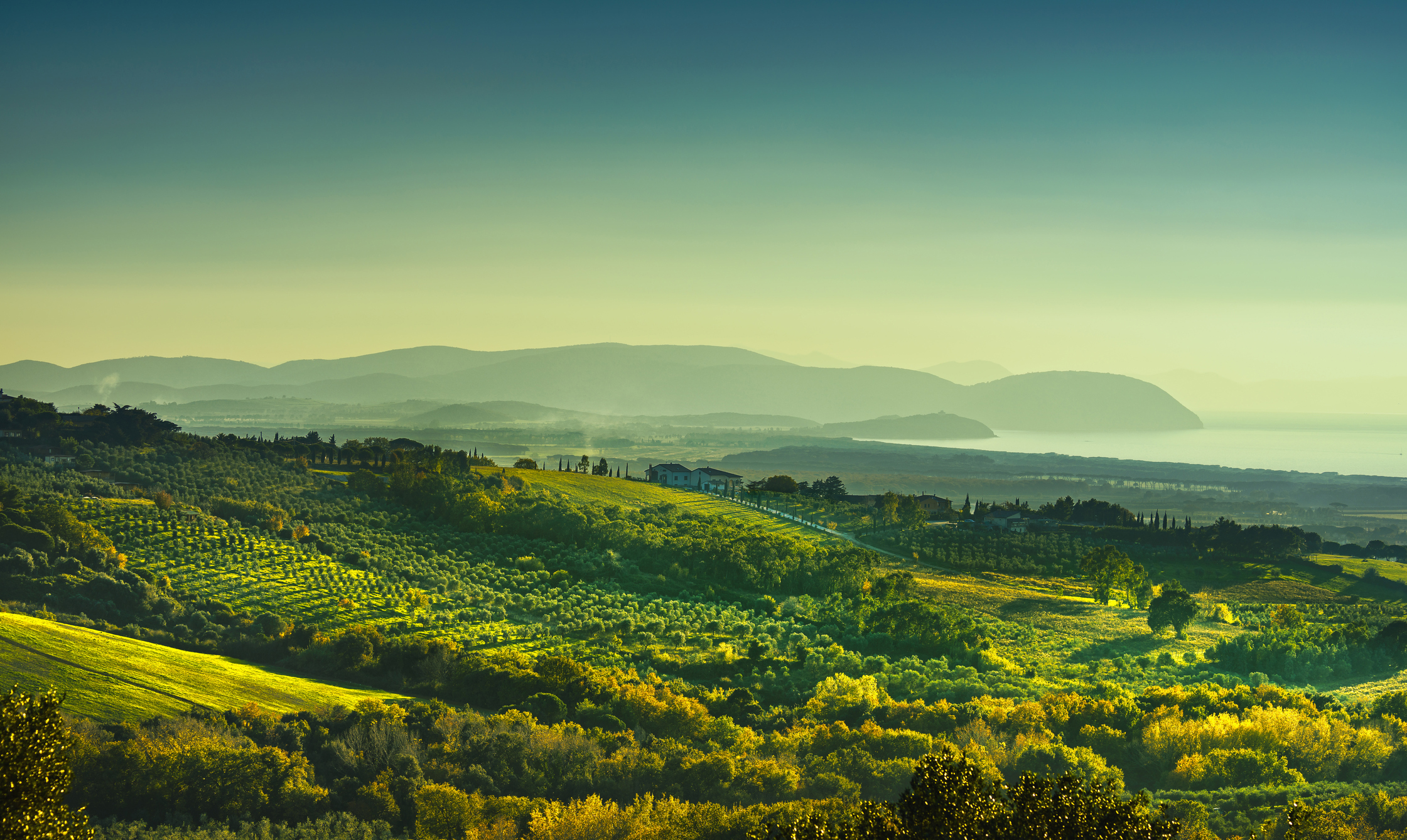 Le Mortelle Winery Image