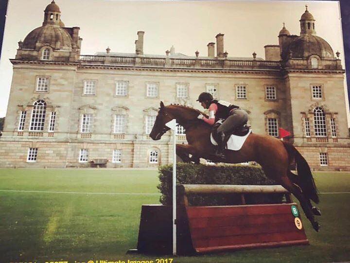 Annabelles Equestrian Image