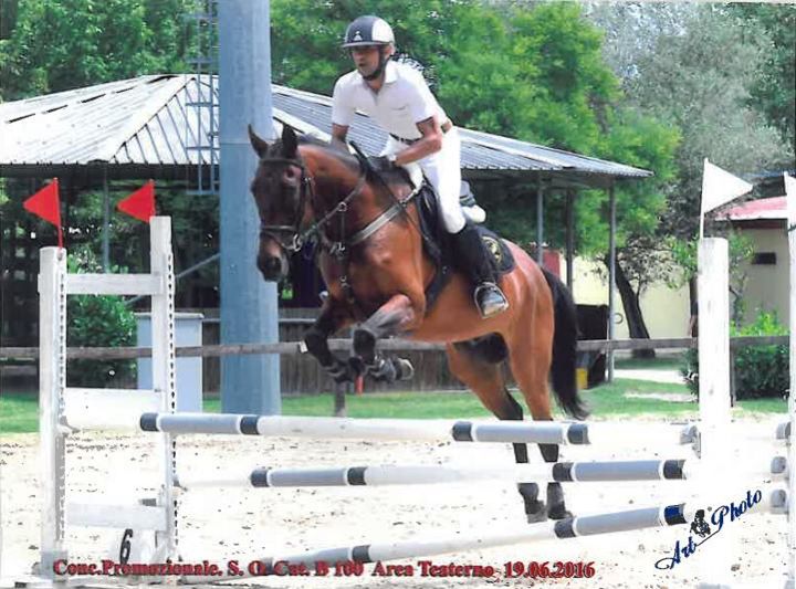 Centro Ippico Tamill - Ippodromo San Paolo - ASD Image