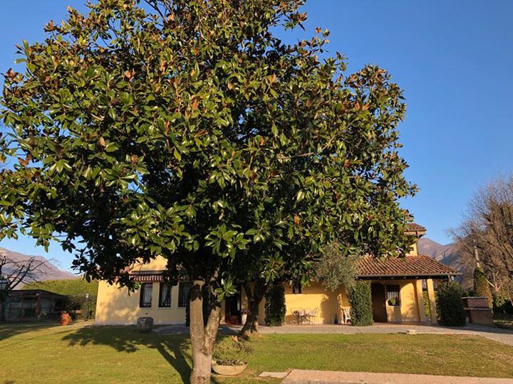 Le Tre Querce B&B Country House Image