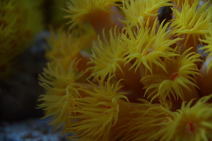 Aquarium Universidad de Murcia Image