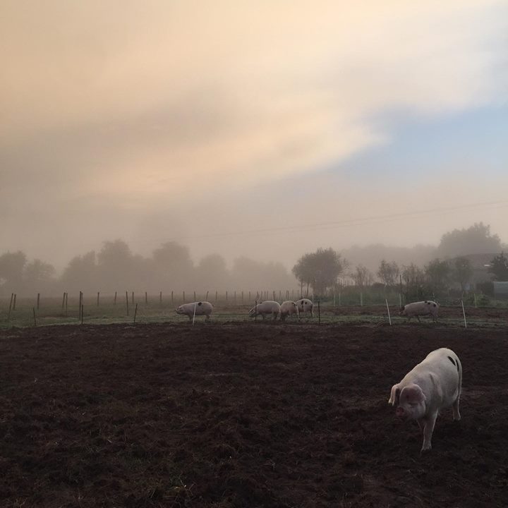 Clavaillon - la ferme et le gîte Image