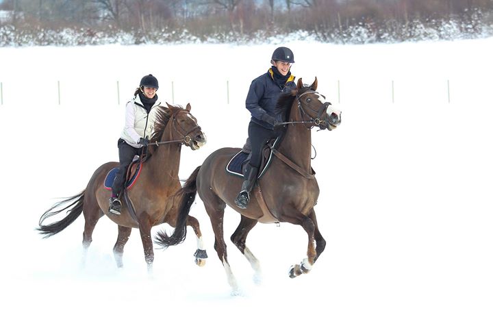 Ahlberga B&B and Stable Image