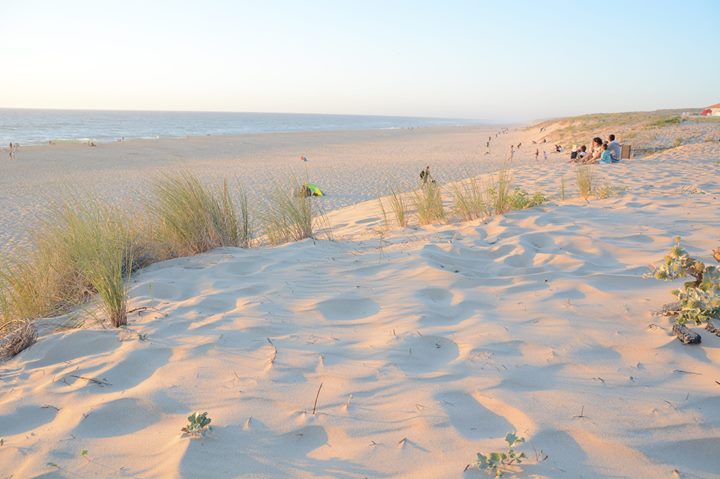 Camping Eurosol Image