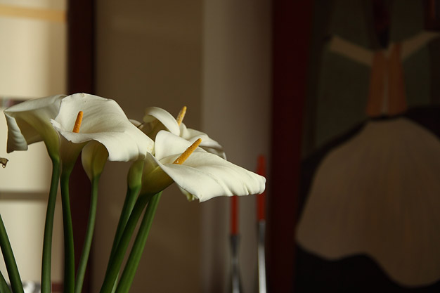 Bed & breakfast SCOPRISICILIA Image