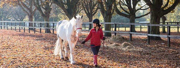 Lee Valley Riding Centre Image