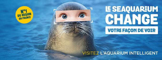Seaquarium Grau du Roi Image