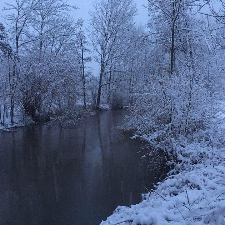 Les Etangs de Chantereine Image