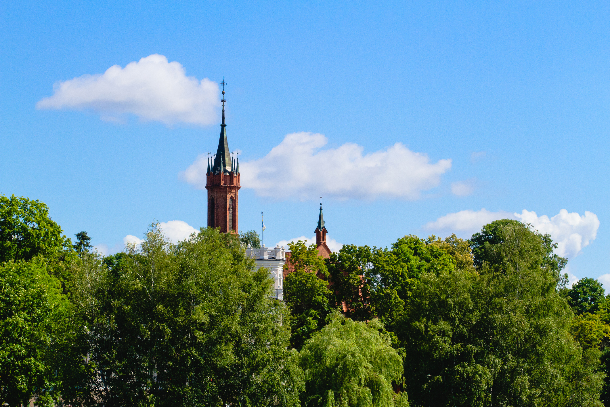 Druskininkai town Image