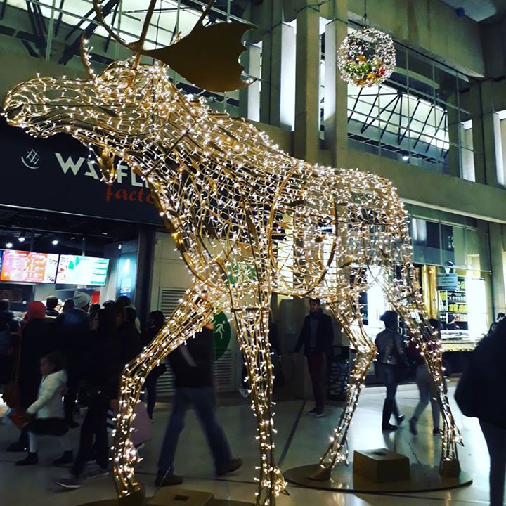 Bibliothèque du cinéma François Truffaut Image