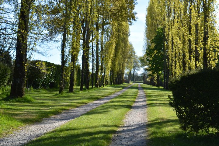 Chambres d'hôtes Les Ronchettes Image