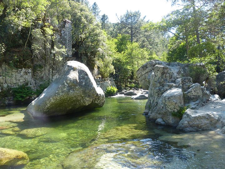 Parc Aventure Ghisoni - Indian Forest Parc Image