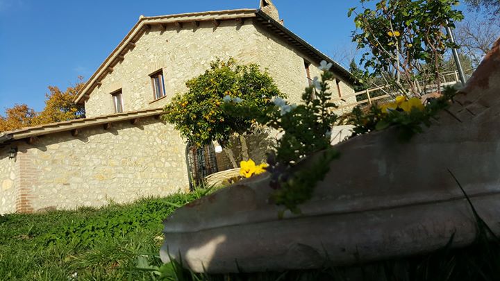 Agriturismo il Merangolo Image